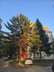 IMG-a166fd140f8b1acb201f294389c6c264-V
